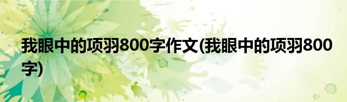 我眼中的项羽800字作文(我眼中的项羽800字)