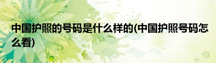 中国护照的号码是什么样的(中国护照号码怎么看)
