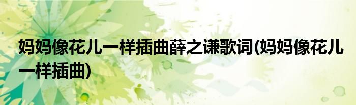 妈妈像花儿一样插曲薛之谦歌词(妈妈像花儿一样插曲)