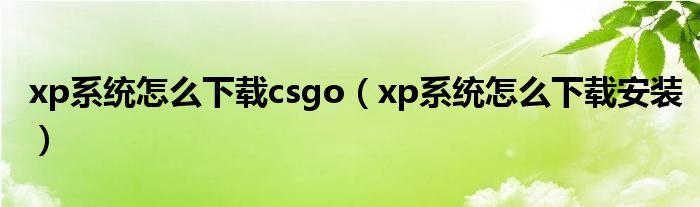 xp系统怎么下载csgo（xp系统怎么下载安装）