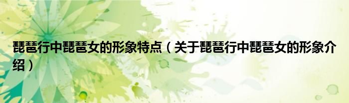 琵琶行中琵琶女的形象特点（关于琵琶行中琵琶女的形象介绍）