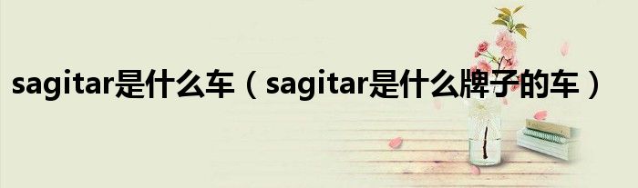 sagitar是什么车（sagitar是什么牌子的车）