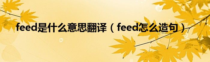 feed是什么意思翻译（feed怎么造句）