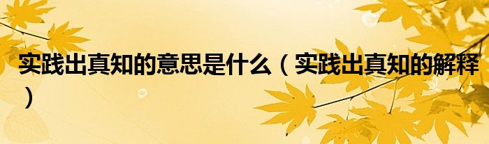 实践出真知的意思是什么（实践出真知的解释）