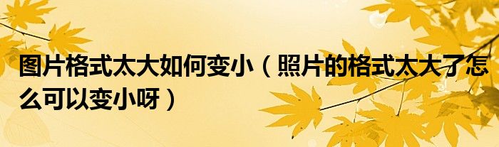 图片格式太大如何变小（照片的格式太大了怎么可以变小呀）