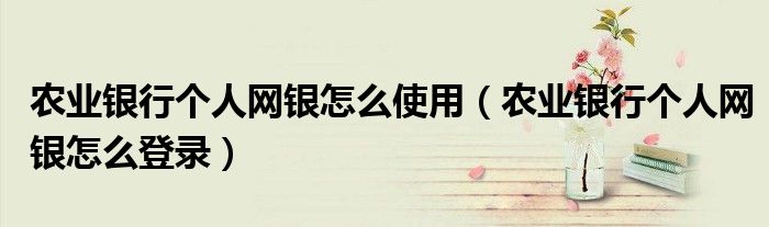 农业银行个人网银怎么使用（农业银行个人网银怎么登录）