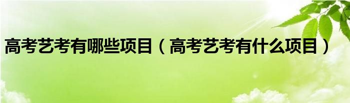 高考艺考有哪些项目（高考艺考有什么项目）