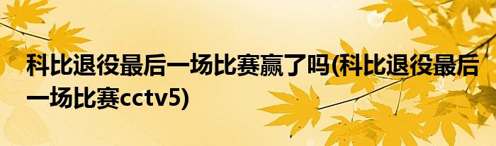 科比退役最后一场比赛赢了吗(科比退役最后一场比赛cctv5)