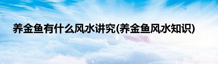 养金鱼有什么风水讲究(养金鱼风水知识)