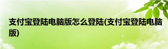 支付宝登陆电脑版怎么登陆(支付宝登陆电脑版)