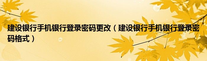 建设银行手机银行登录密码更改（建设银行手机银行登录密码格式）