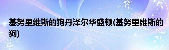 基努里维斯的狗丹泽尔华盛顿(基努里维斯的狗)