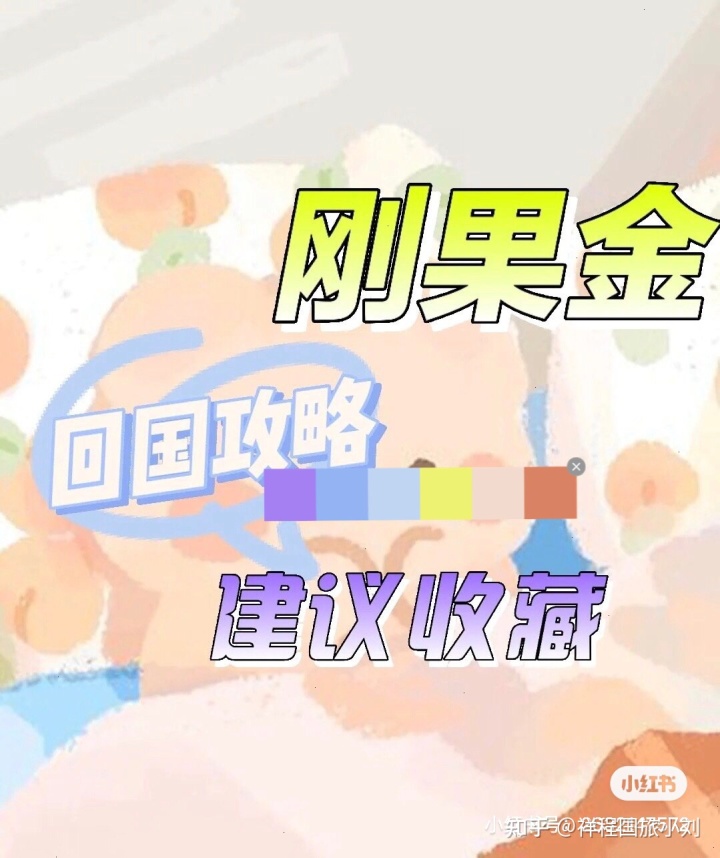 刚果金回国所需材料