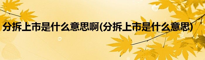 分拆上市是什么意思啊(分拆上市是什么意思)