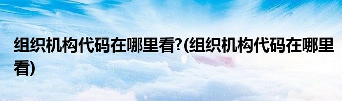 组织机构代码在哪里看?(组织机构代码在哪里看)