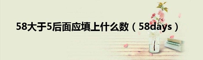 58大于5后面应填上什么数（58days）