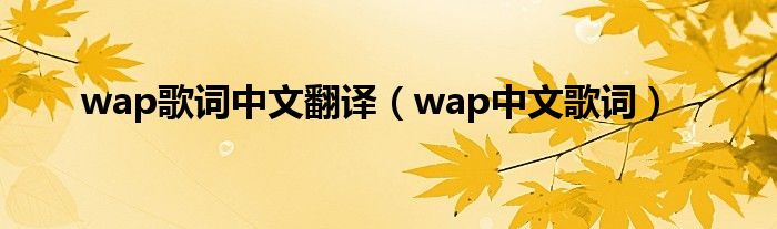 wap歌词中文翻译（wap中文歌词）