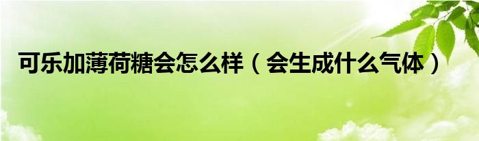可乐加薄荷糖会怎么样（会生成什么气体）