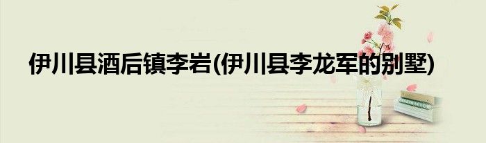 伊川县酒后镇李岩(伊川县李龙军的别墅)