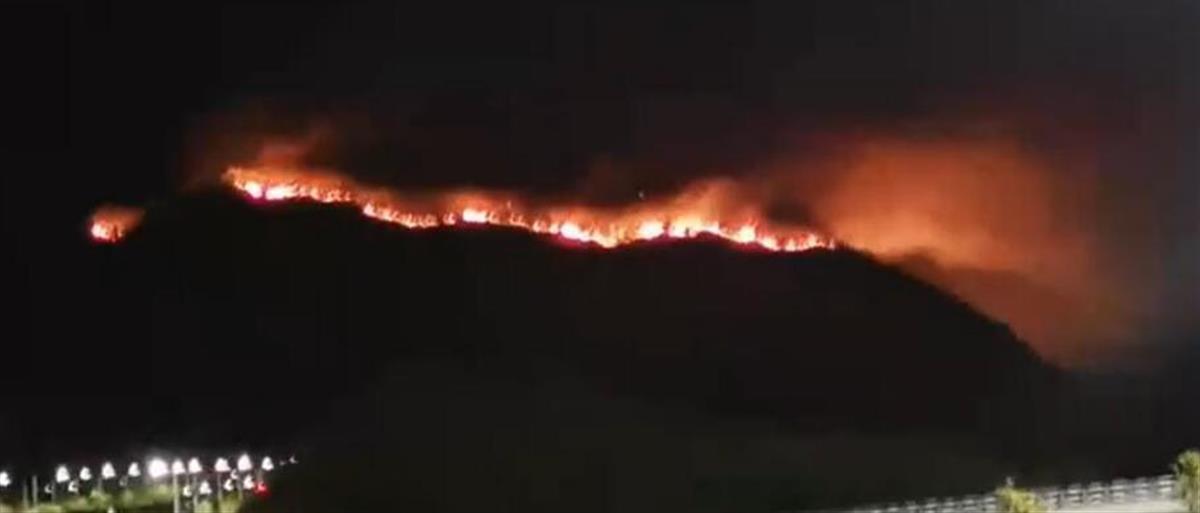 重庆已组织1500余人扑救巴南山火是怎么回事，关于重庆巴山火灾的新消息。