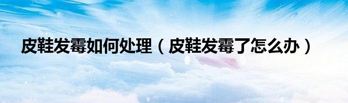 皮鞋发霉如何处理（皮鞋发霉了怎么办）