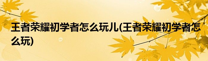 荣耀初学者怎么玩儿(荣耀初学者怎么玩)