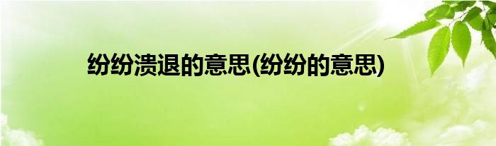 纷纷溃退的意思(纷纷的意思)