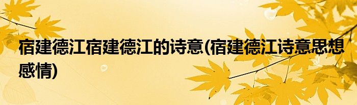 宿建德江宿建德江的诗意(宿建德江诗意思想感情)