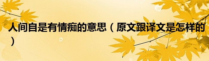 人间自是有情痴的意思（原文跟译文是怎样的）