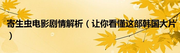寄生虫电影剧情解析（让你看懂这部韩国大片）