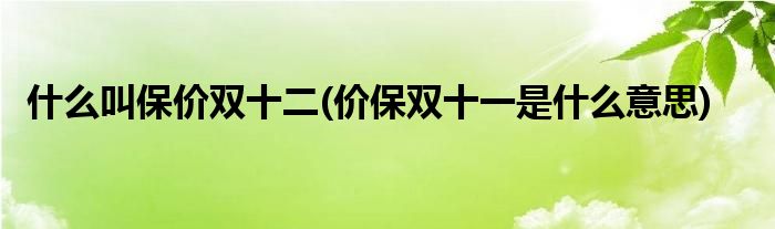 什么叫保价双十二(价保双十一是什么意思)