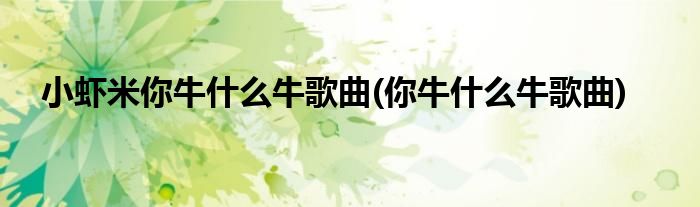 小虾米你牛什么牛歌曲(你牛什么牛歌曲)