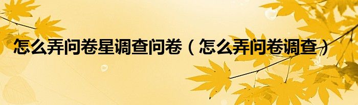 怎么弄问卷星调查问卷（怎么弄问卷调查）