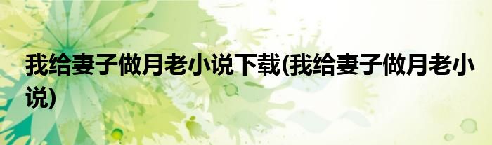我给妻子做月老小说下载(我给妻子做月老小说)