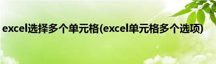 excel选择多个单元格(excel单元格多个选项)