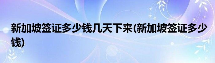 新加坡签证多少钱几天下来(新加坡签证多少钱)