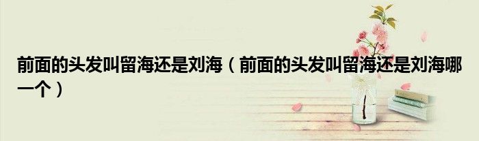 前面的头发叫留海还是刘海（前面的头发叫留海还是刘海哪一个）