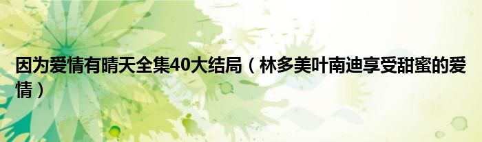因为爱情有晴天全集40大结局（林多美叶南迪享受甜蜜的爱情）