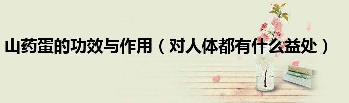 山药蛋的功效与作用（对人体都有什么益处）