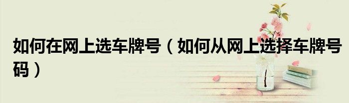 如何在网上选车牌号（如何从网上选择车牌号码）