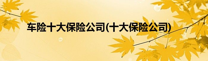 车险十大保险公司(十大保险公司)