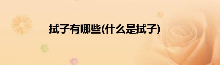 拭子有哪些(什么是拭子)