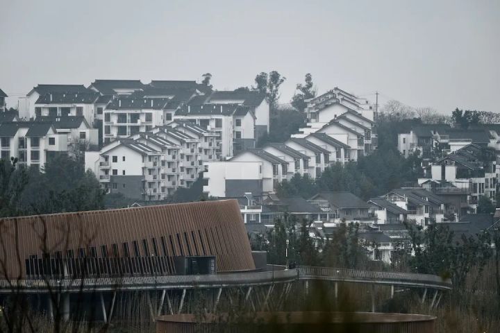 技巧丨如何用好长焦镜头，实现与墩墩的零距离接触？