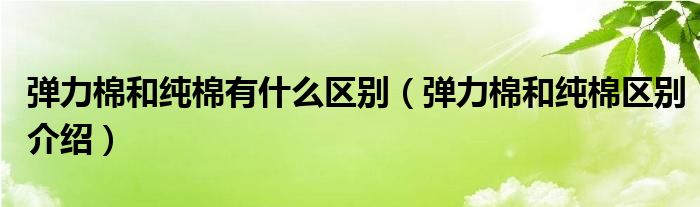 弹力棉和纯棉有什么区别（弹力棉和纯棉区别介绍）