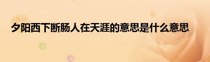 夕阳西下断肠人在天涯的意思是什么意思
