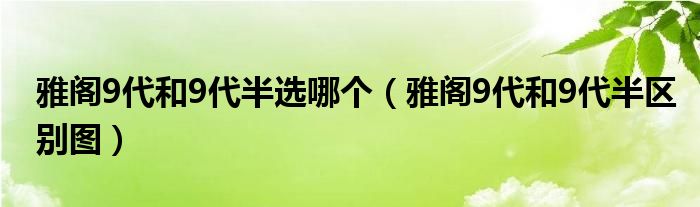 雅阁9代和9代半选哪个（雅阁9代和9代半区别图）