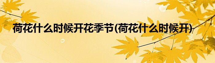荷花什么时候开花季节(荷花什么时候开)