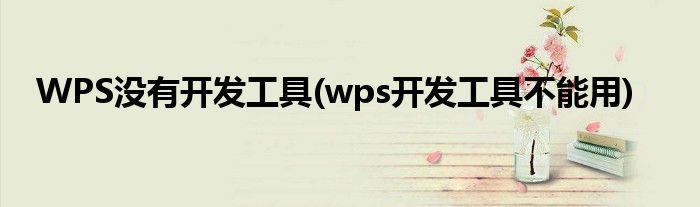 WPS没有开发工具(wps开发工具不能用)