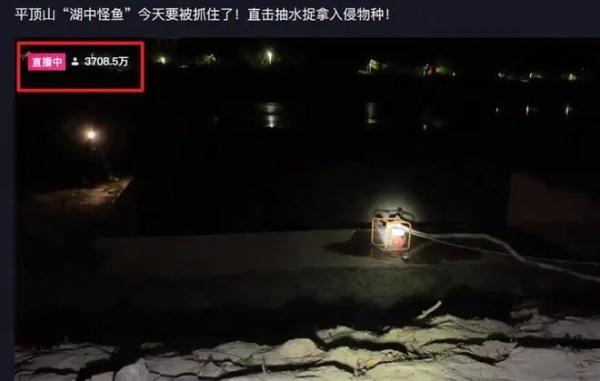 千万网友围观抽干湖水抓“怪鱼”！昆明一小区池塘疑似也有……