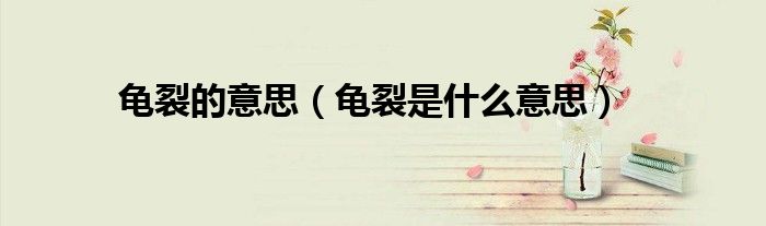 龟裂的意思（龟裂是什么意思）
